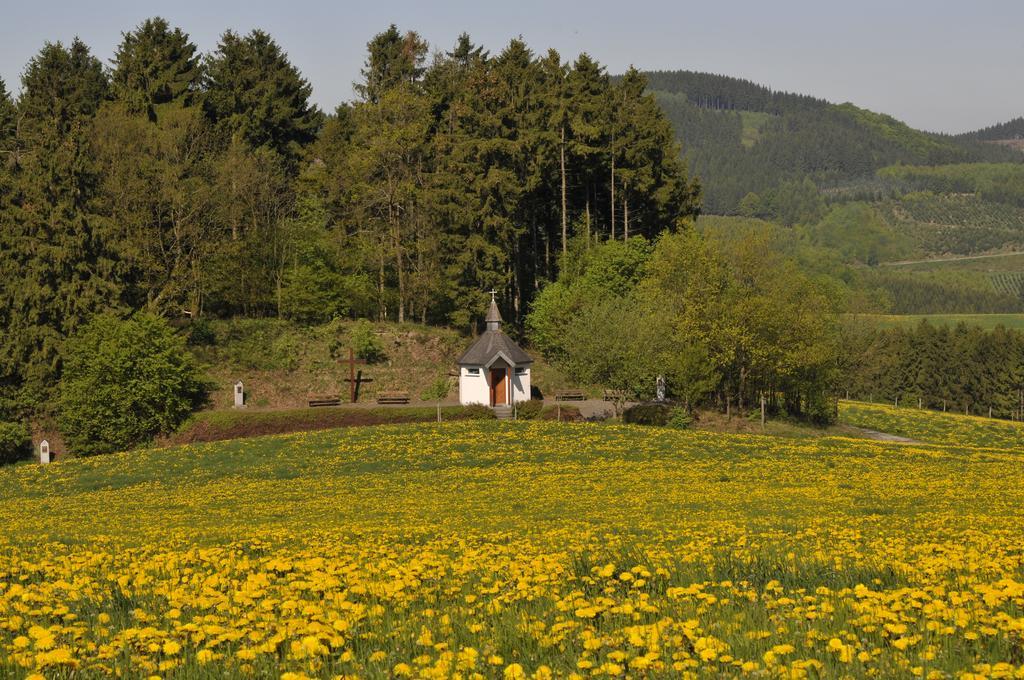 Wuellner'S Landgasthof Шмаленберг Екстериор снимка